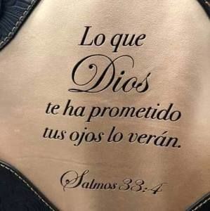 Meet your Posher, Jacky m